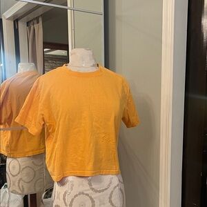 Phenix Bright‎ Orange/gold crop T-Shirt